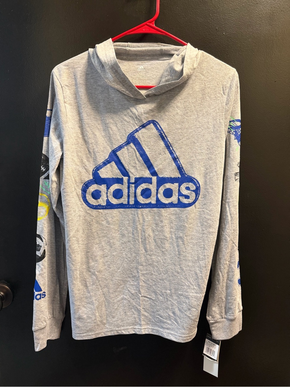 adidas Gray Hooded Long-Sleeve Tee with Blue Logo